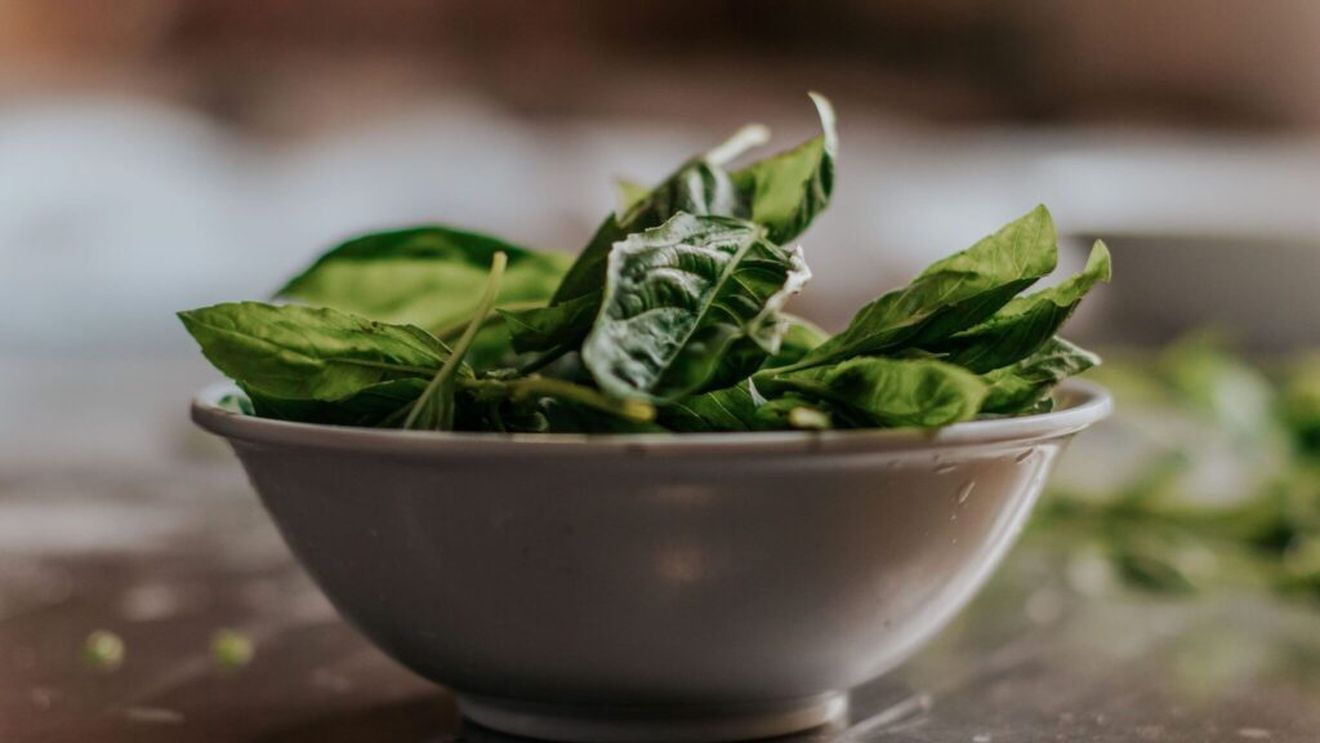 Guvernul României subvenționează producția de spanac în spații protejate: 1000 de euro per tonă