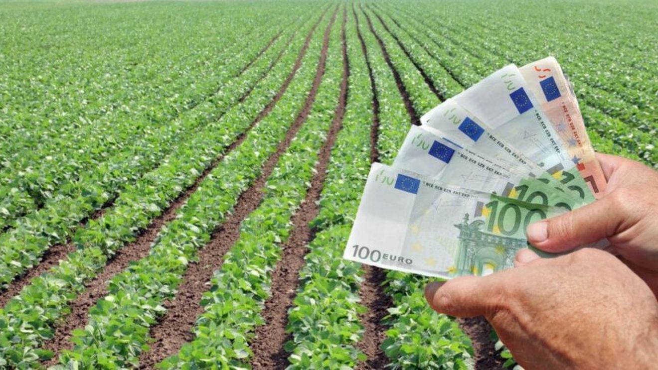 Comisia Europeană acordă României un sprijin financiar de urgență de peste 21.500.000 de euro pentru sectorul agricol afectat de fenomene climatice nefavorabile/Guvernul poate să ofere sprijin național suplimentar până la maximum 200 % din cuantumul european