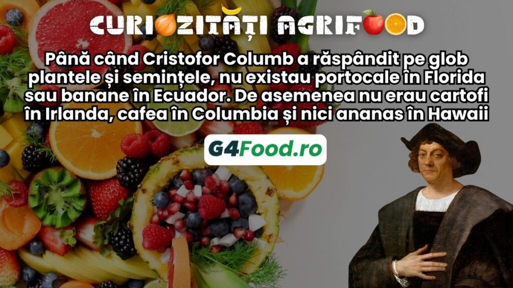 Curiozitate agrifood - 14 noiembrie: Până când Cristofor Columb a răspândit pe glob plantele și semințele, nu existau portocale în Florida sau banane în Ecuador. De asemenea, nu erau cartofi în Irlanda, cafea în Columbia și nici ananas în Hawaii