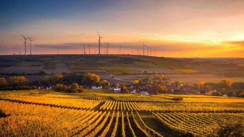 Comisia Europeană, dată în judecată de două ONG-uri ecologiste/Acestea acuză forul european că este prea permisiv cu statele membre în ce privește atingerea obiectivelor climatice, mai ales în sectorul agricol