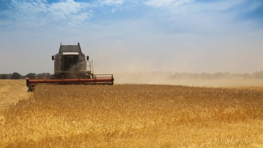 Grânele românești, tot mai căutate pe piața mondială / Arabia Saudită intră pe lista marilor cumpărători