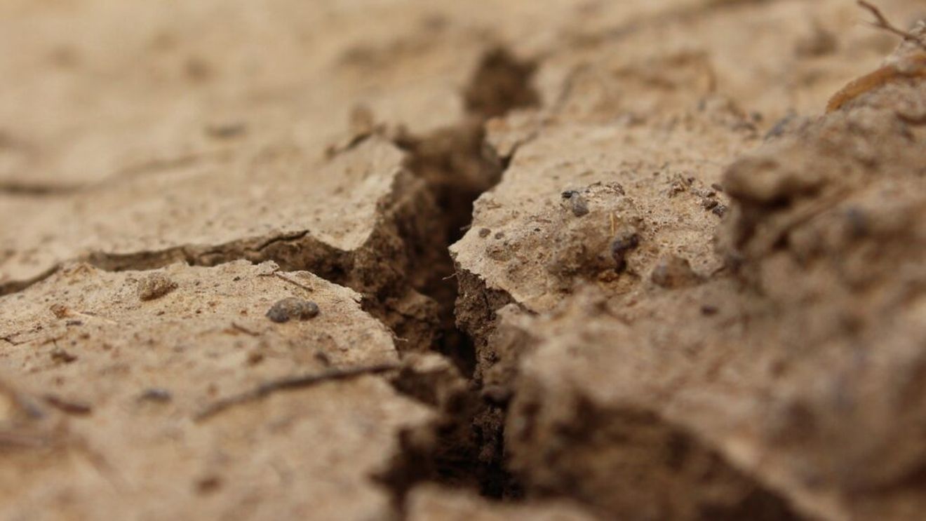 ANM: Seceta pedologică afectează zone agricole din Moldova, Muntenia, Dobrogea şi Transilvania