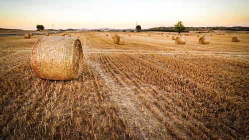 Reuniunea Informală a miniștrilor agriculturii din statele UE, 8-10 septembrie 2024, Budapesta / Participă și ministrul român Florin Barbu