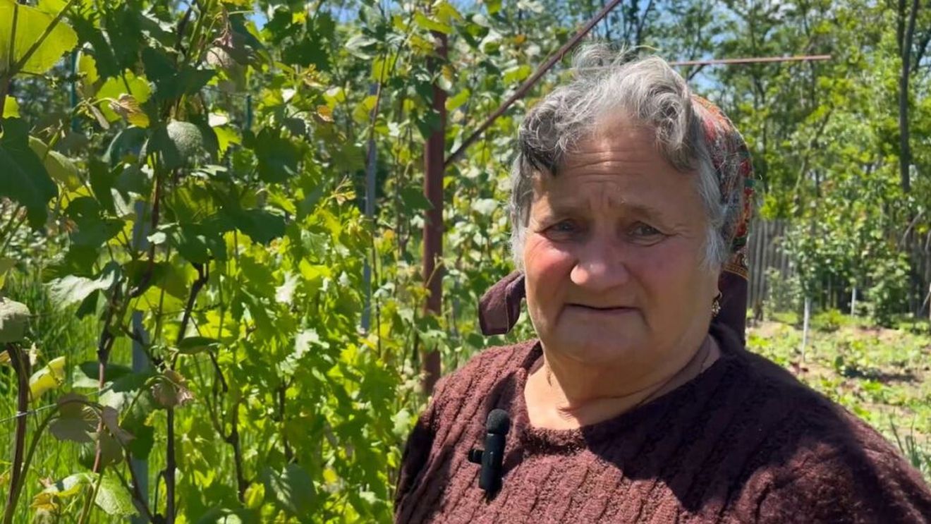 VIDEO | Cum se taie corect vița-de-vie / Sfaturile Sofiei, o expertă fără diplomă, dar cu har, din inima Prahovei: „La noi cel mai bun soi este căpșunica”