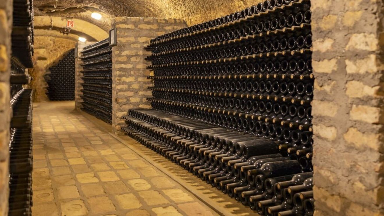 Enolog român: Cel mai vechi vin pe care îl avem în vinotecă e din 1942. Cel mai vechi băubil e din 1966 (VIDEO)