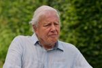 Ce mănâncă Sir David Attenborough la 100 de ani / Naturalistul spune că și-a schimbat complet alimentația: „Am devenit mult mai vegetarian decât credeam că voi fi vreodată”