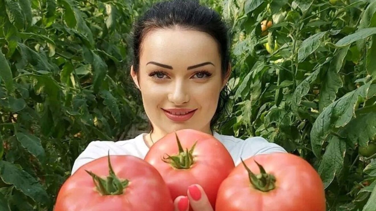 Bulgarii, tot mai activi pe piețele internaționale / Ei susțin că vânzările de fructe și legume sunt în creștere, inclusiv în România