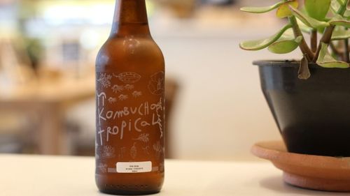 Consumul de kombucha ar putea imita efectele benefice ale postului, indică studiile / Poate reduce acumularea de grăsime și duce la scădea nivelului trigliceridelor