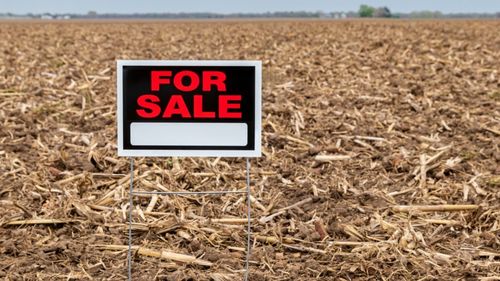 Compania R.D.F., un nou faliment în agribusiness / Florin Deznan: „Am fost nevoit să cer insolvența”