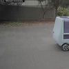 O profesoară pensionară de 78 de ani, arestată în SUA după ce a blocat intenționat un robot de livrare