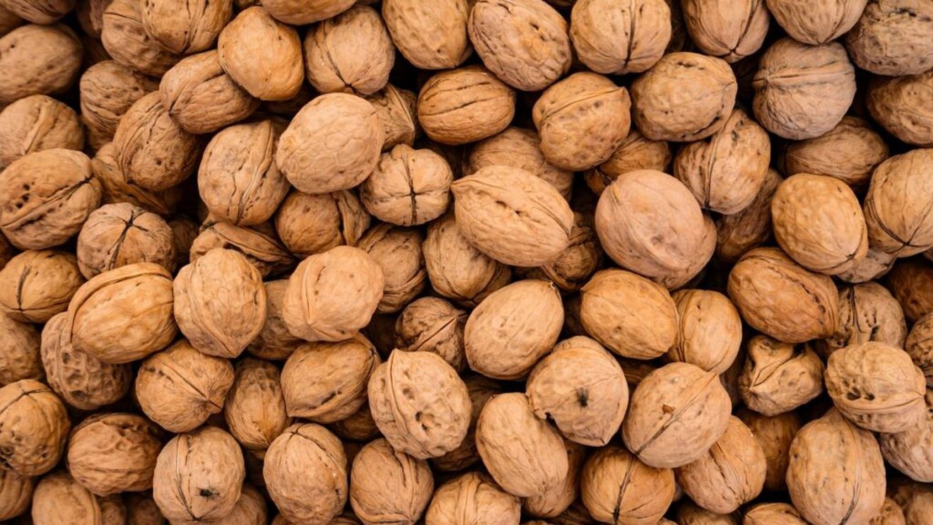 Producția de nuci din județul Gorj, aproape la jumătate față de anii trecuți