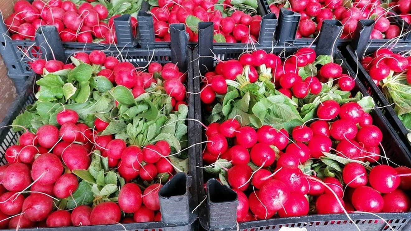 Protecția Consumatorului a închis trei piețe agro-alimentare în București, din cauză că operatorii economici nu au respectat regulile de prevenire a răspândirii noului coronavirus