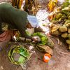 „Banana pe steroizi” care rezistă la secetă și boli și ar putea hrăni milioane de oameni. De ce „arborele împotriva foametei” este cultivat aproape exclusiv într-o singură țară