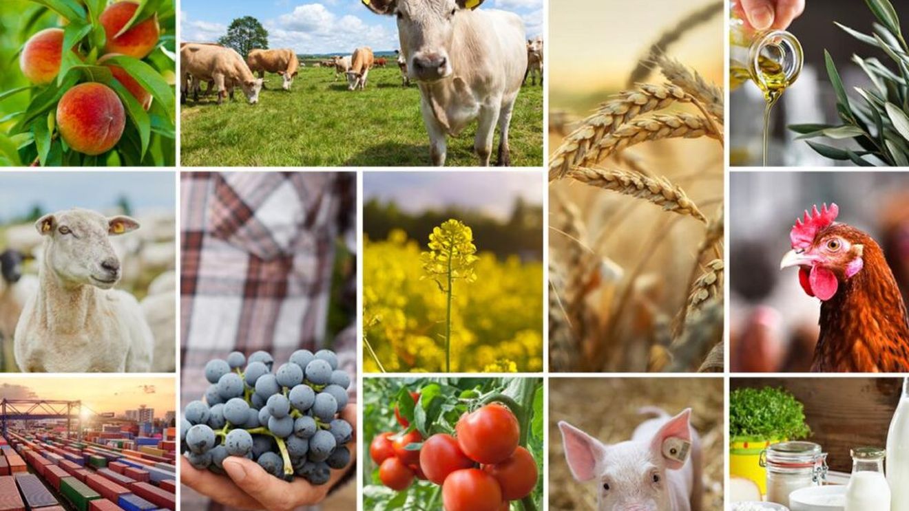 Raportul Comisiei Europene privind perspectivele pe termen scurt ale piețelor agricole din UE. Rezistență în contextul instabilităților geopolitice și al variabilității climatice