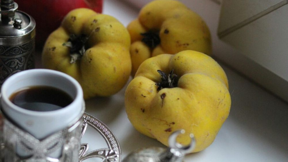 Gutuia, acest minunat fruct de toamnă, are 7 beneficii surprinzătoare pentru sănătate/ Bogată în vitamine, minerale și fibre, ea ar putea ajuta la slăbit, atenuarea ridurilor, prevenirea alergiilor și normalizarea colesterolului și tensiunii arteriale