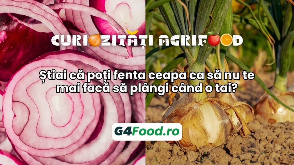 Știai că poți fenta ceapa ca să nu te mai facă să plângi când o tai?