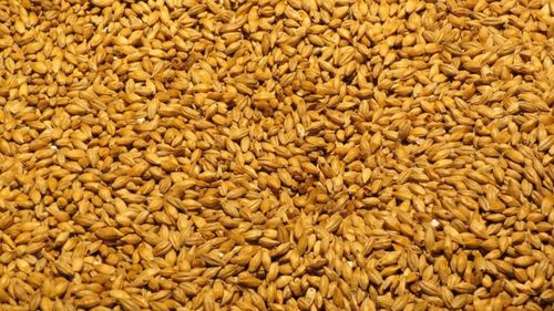 Orzul românesc, expediat la aproape 9.000 de km distanță, în Vietnam / Țara din Extremul Orient a plătit peste 15.000.000 de euro de la începutul anului comercial