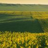 UE suspendă pentru un an taxele de import la unele îngrășăminte pe bază de azot. Măsura vine pe fondul scumpirilor și al tensiunilor din Orientul Mijlociu
