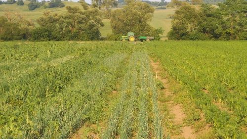 Adrian Pintea, director general APIA: ”plățile pentru Măsura 21 vor fi făcute până la sfârșitul lunii decembrie”