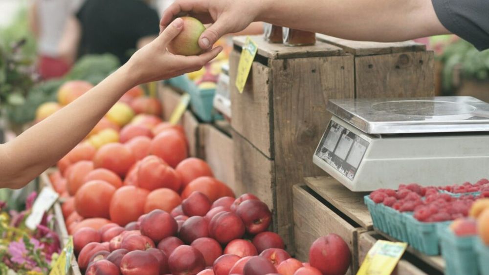 OPINIE Frica de mâncare indusă omului sănătos și destulă vinovăție pe deasupra / Ce avem de făcut?