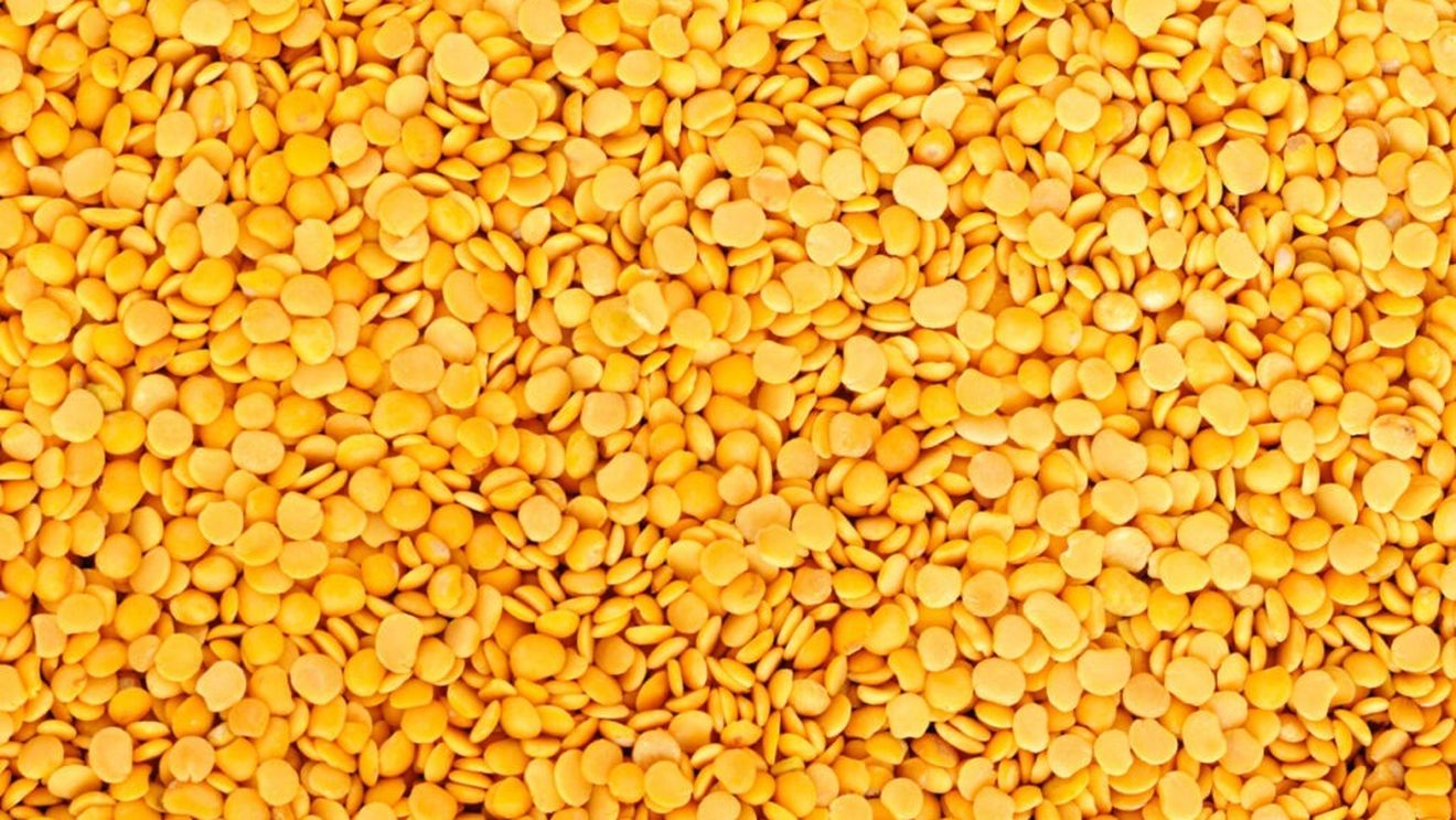 Secretul unei mese mai ușor de digerat: de ce trebuie să înmoi lintea înainte de gătit / Se îmbunătățește digestia și se elimină antinutrienții