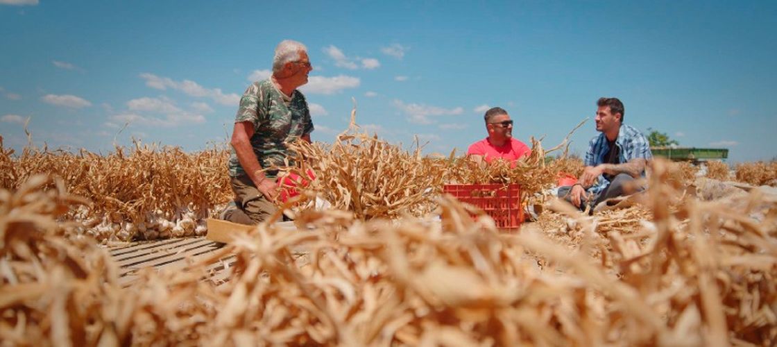 Ministerul Agriculturii și Dezvoltării Rurale a creat un grup de lucru interinstituțional pentru a analiza situației hidrologică actuală și a elabora un plan de măsuri