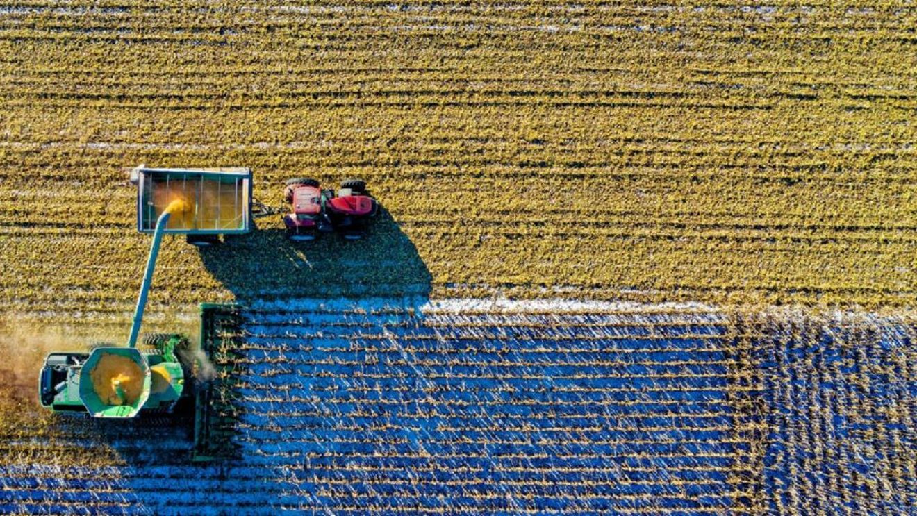 Peste 1.000 de contribuabili din Grecia au primit subvenții ilegale în valoare de aproape 23 de milioane de euro din fonduri agricole europene