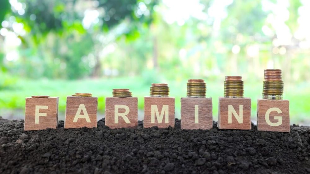 Fermierii se tem că bugetul pentru agricultură va fi diminuat / Radu (Forţa_Fermierilor): Vrem ca bugetul pentru agricultură să rămână separat în viitoarea Politică Agricolă Comună