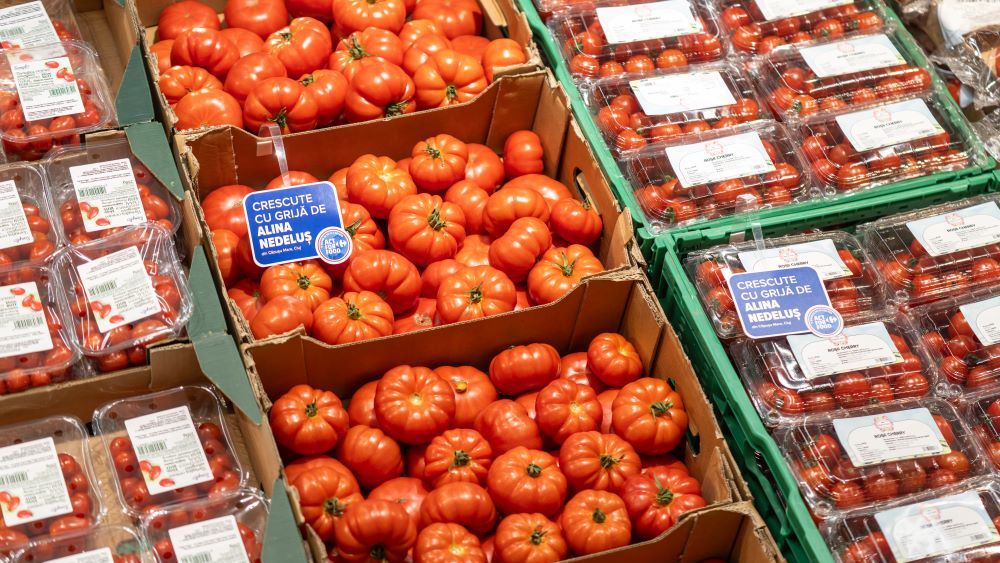 Suprafața cultivată în solarii, în Olt, crește cu 160 de hectare în 2026. Roșiile românești au ajuns deja la recoltare