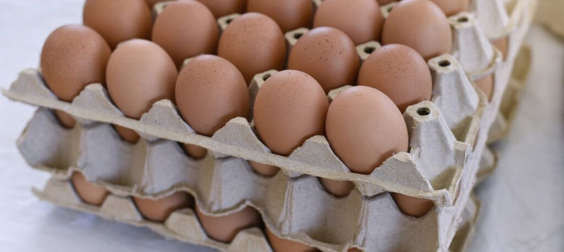 Industria avicolă din România asigură necesarul de ouă pentru Paște / Prețurile rămân stabile în ciuda cererii ridicate