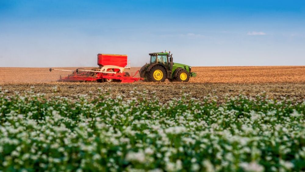 Analiză: În ciuda subvențiilor UE și a măsurilor de sprijin, sectorul agricol românesc continuă să fie dominat de ferme de subzistență și productivitate scăzută