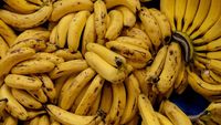 Aproape 800 de kilograme de cocaină, ascunse într-un transport de banane, confiscate în Italia / Drogurile valorează aproximativ 250 de milioane de euro