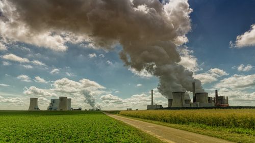 Taxe pe emisiile din agricultură și reducerea consumului de carne, între propunerile consilierilor științifici ai UE / Noul plan climatic ar putea fi respins de fermieri