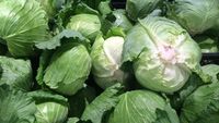 Supraproducția de varză a prăbușit prețul la 50 de bani, iar fermierii o toacă pe câmp sau o donează/ Aceeași situație ar putea apărea și la cartofii timpurii