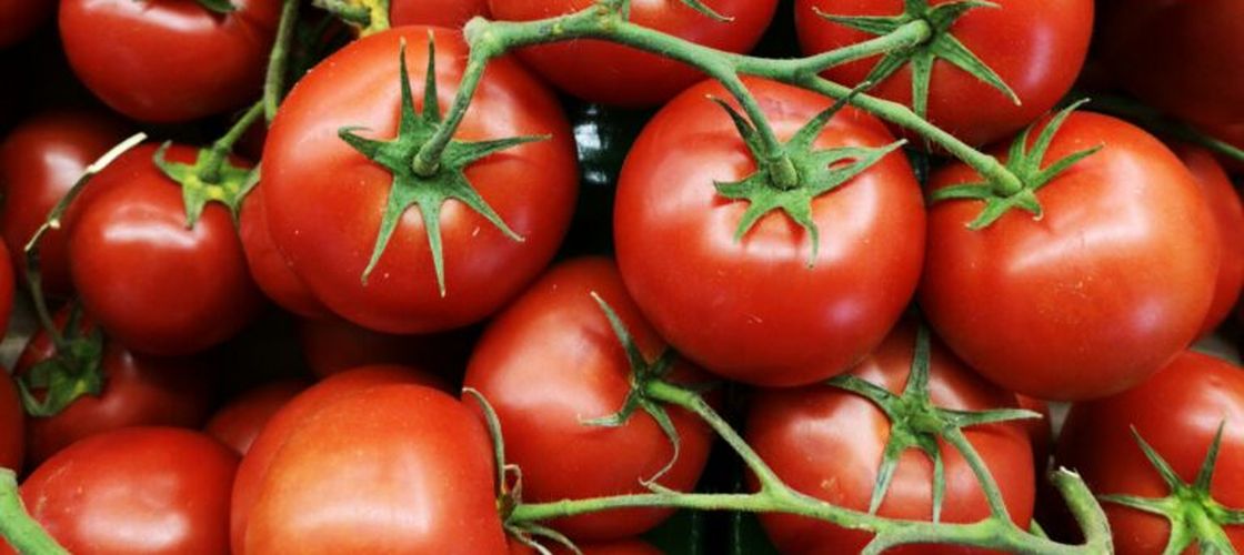 Secretul roșiilor gustoase și zemoase. „Regula de aur” pe care o recomandă cultivatorii italieni