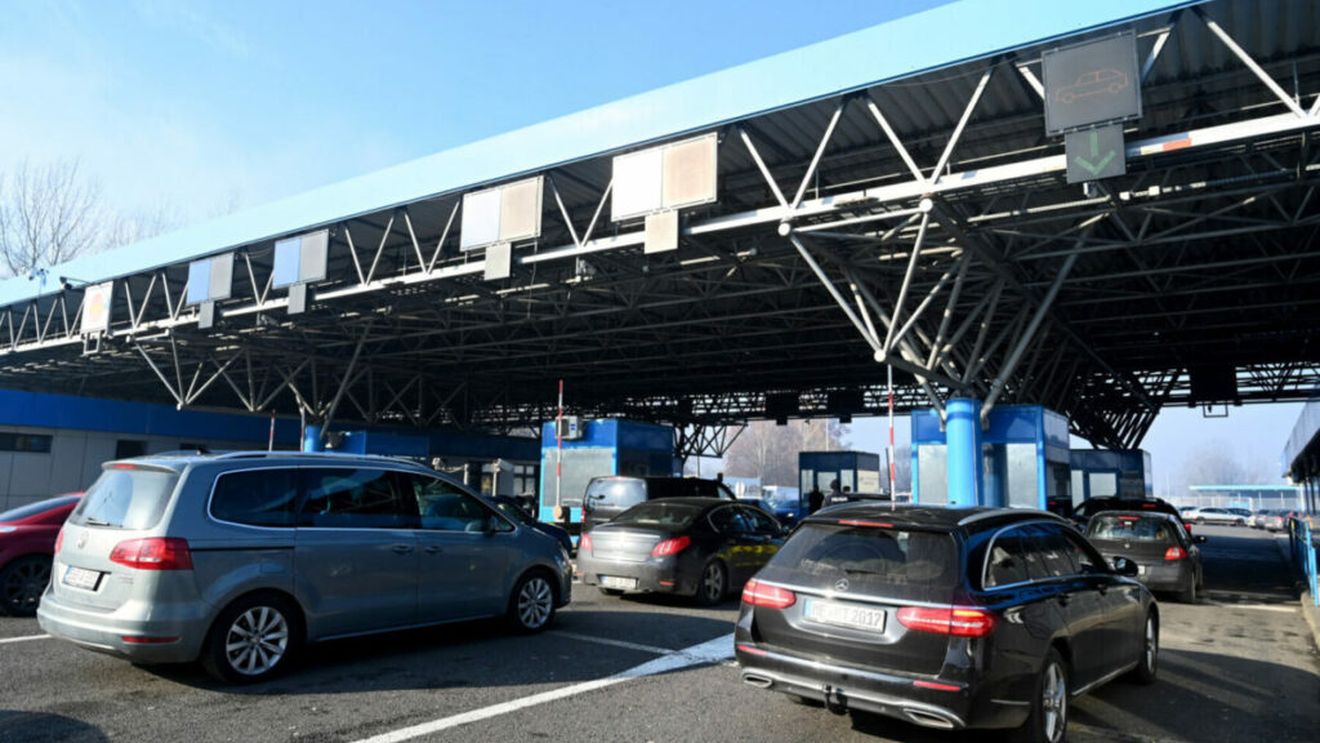 Bulgaria introduce dezinfecția la toate punctele de frontieră din cauza pestei la animale din Grecia și România