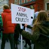 Peste 70 de ONG-uri și iubitori de animale ies în stradă la București. Protest de Ziua Internațională a Animalelor, față de modul în care autoritățile gestionează animalele