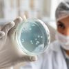 DSP Bihor a finalizat ancheta privind focarul de Salmonella dintr-o școală din Oradea / Alimentația a fost exclusă ca sursă a infectării