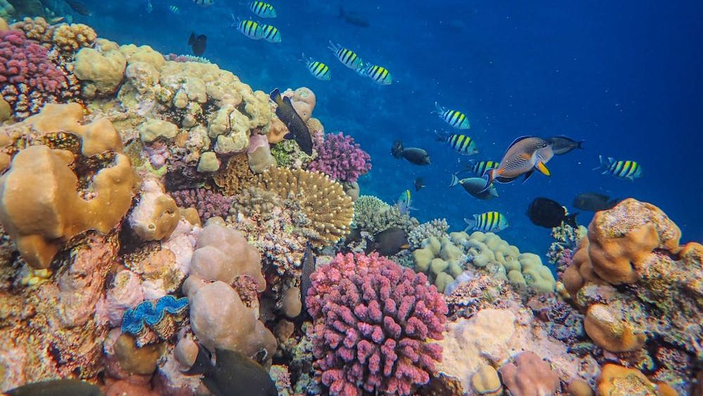 Un antreprenor deținător de restaurant, săli de evenimente și hotel în Târgu Jiu construiește cu bani europeni un parc acvatic cu ștrand, acvarii cu rechini și spații expoziționale