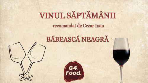 VIDEO | Vinul săptămânii | „România ar avea o șansă extraordinară dacă ar exploata acest soi” – Cezar Ioan, despre Băbeasca Neagră