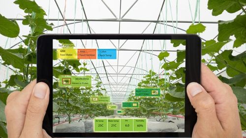 Strategii de marketing şi branding pentru managerii cooperativelor agricole în cadrul unui proiect Erasmus / Proiectul este derulat de UNCSV, la Dalum Academy of Agricultural Business din Odense (Danemarca)