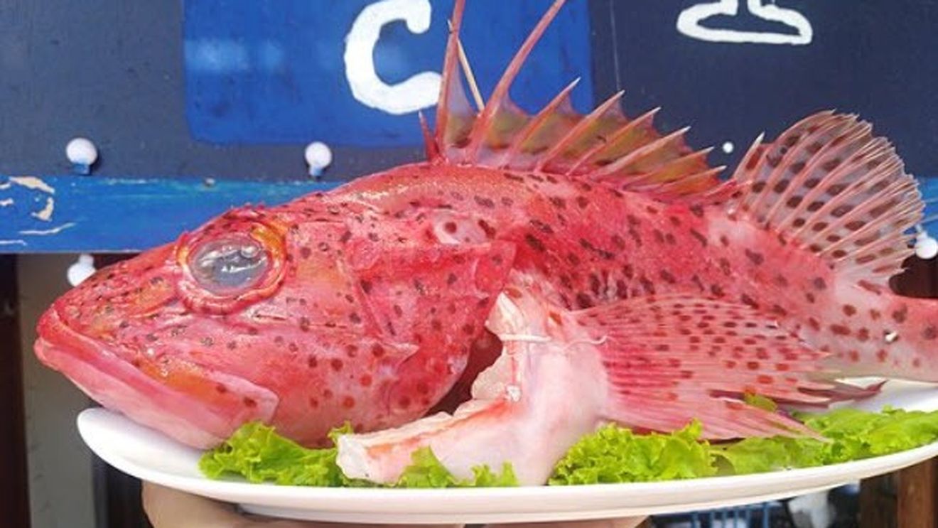 Galapagos, insulele Patrimoniu Natural al Umanității, importă de pe continent majoritatea hranei pentru localnici și turiști. Cultura alimentară și tradițiile gastronomice în acest ținut descris de Darvin. Cum funcționează aici agricultura și industriile alimentare