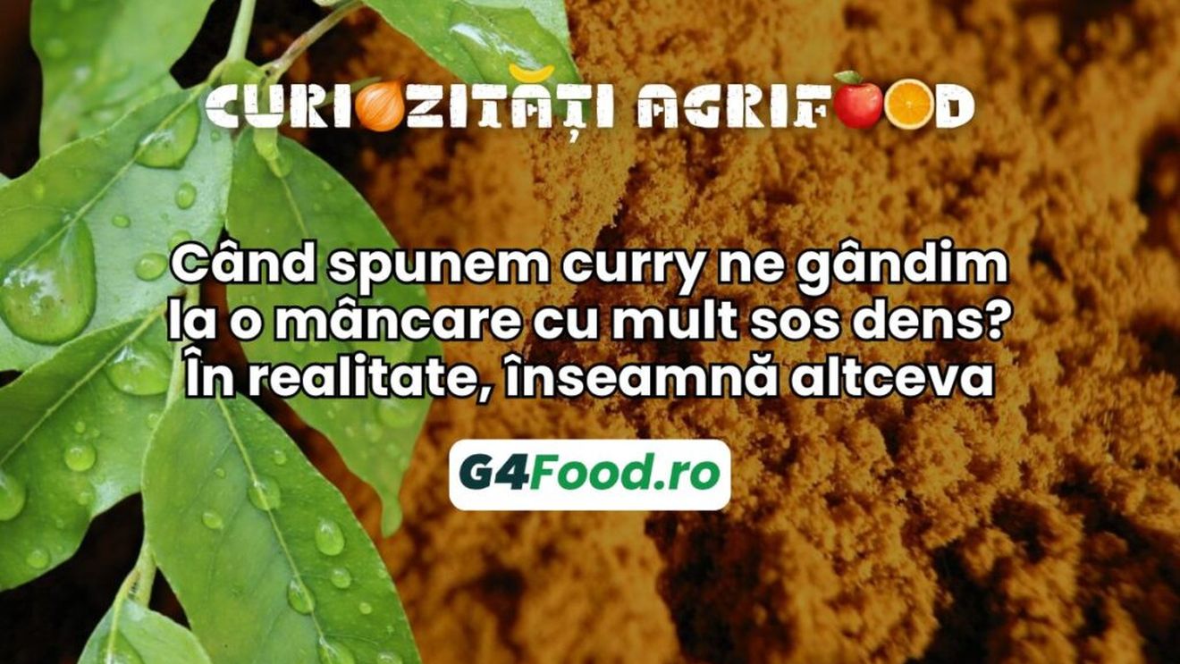 Curiozități agrifood - 21 august: Când spunem curry ne gândim la o mâncare cu mult sos dens? În realitate, înseamnă altceva