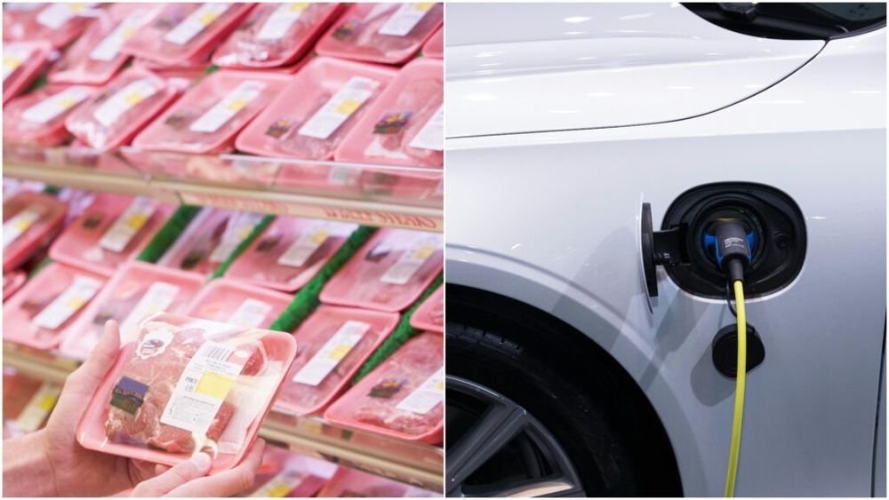 Producătorii europeni de lactate și carne de porc se tem de măsurile pe care le-ar putea lua China după ce UE a introdus tarife la automobile electrice importate din statul asiatic