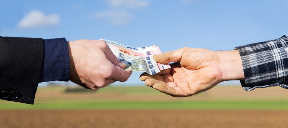 Peste 918 milioane lei pentru ajutoarele naționale tranzitorii în agricultură / Proiectul Ministerului Agriculturii, în dezbatere publică