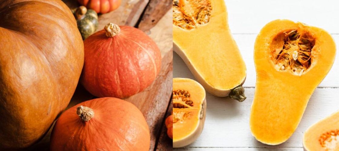 Dovleac plăcintar sau butternut squash? / Care are mai multe fibre, potasiu și mai puține calorii / Ambele sunt alegeri bune pentru sezonul rece, dar există și diferențe între ei