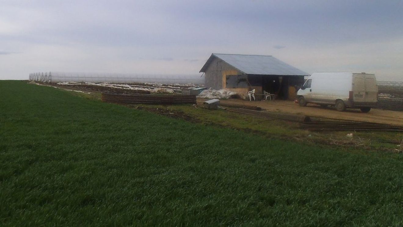 Studiu european: fermierii români preferă să se împrumute de la rude și prieteni, decât să solicite un credit bancar