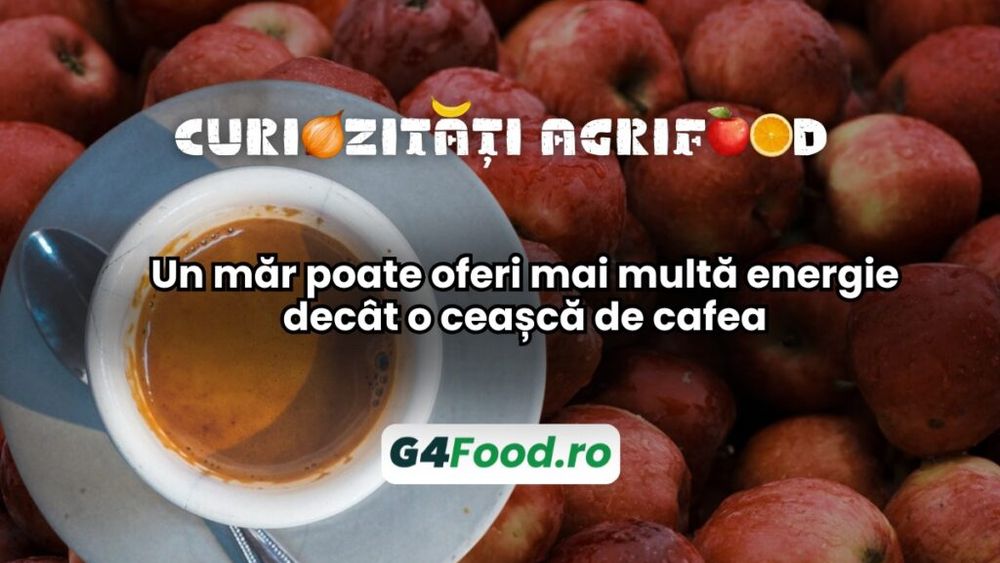 Curiozități agrifood – 21 noiembrie: Un măr poate oferi mai multă energie decât o ceașcă de cafea