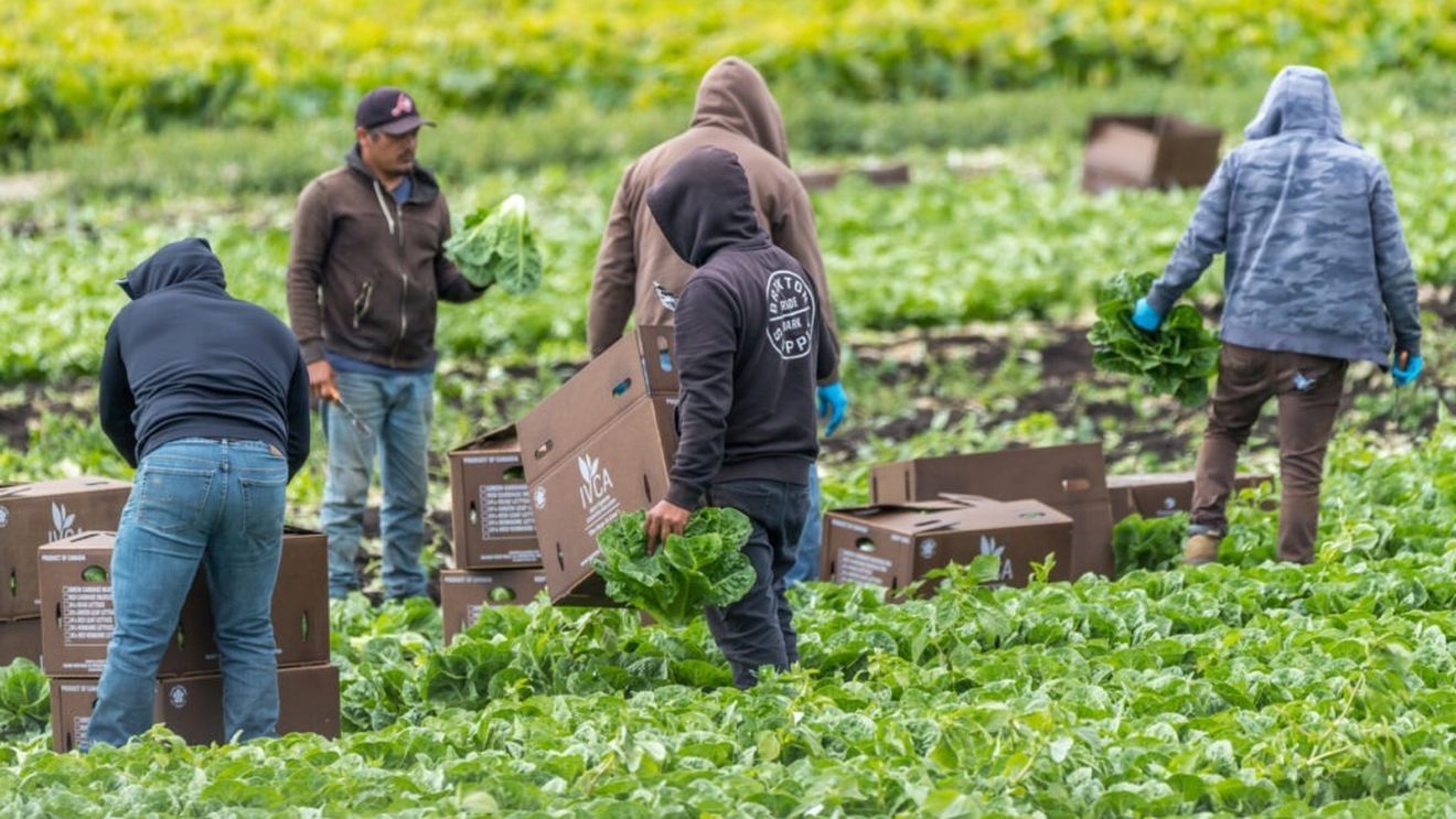 Grecia: Poliţia a dezmembrat o grupare care trafica nepalezi pentru munci agricole în condiţii degradante