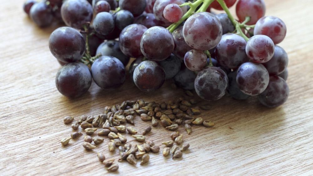 Făina din semințe de struguri. Inovația din agritech care încearcă să transforme complet deșeurile cele mai importante din producția de vin. Poate fi folosită și în aluaturi dospite